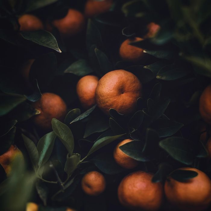 Produce and texture photography for a food brand